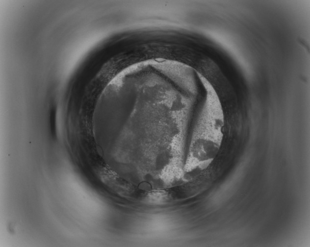 X0000100840189200807111200