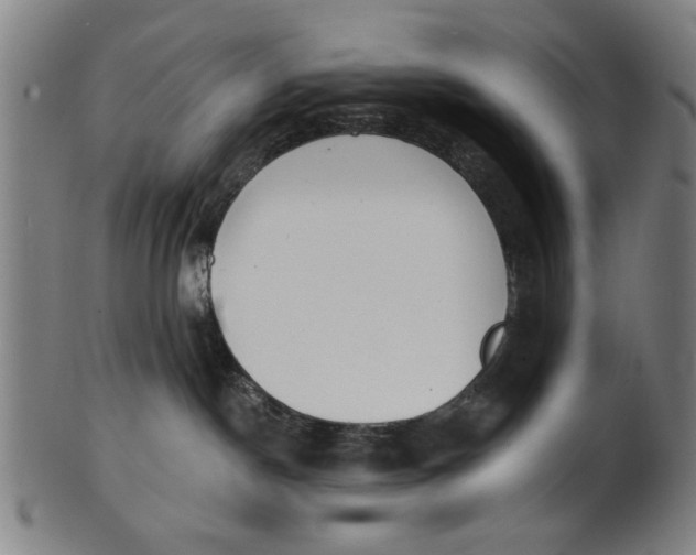 X0000100840190200807111200