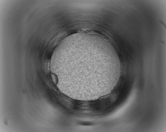 X0000100840191200807111200