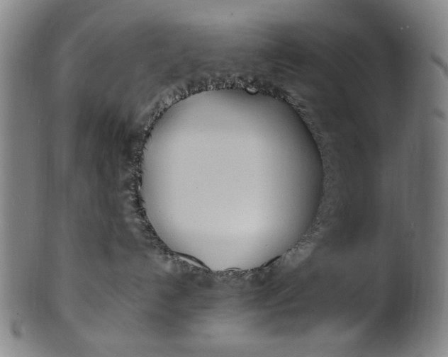 X0000100840192200807111200