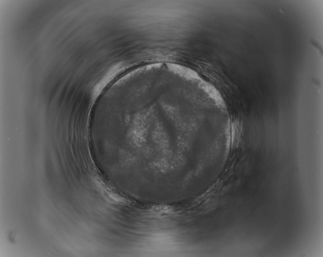 X0000100840195200807111159