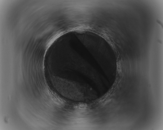 X0000100840196200807111159