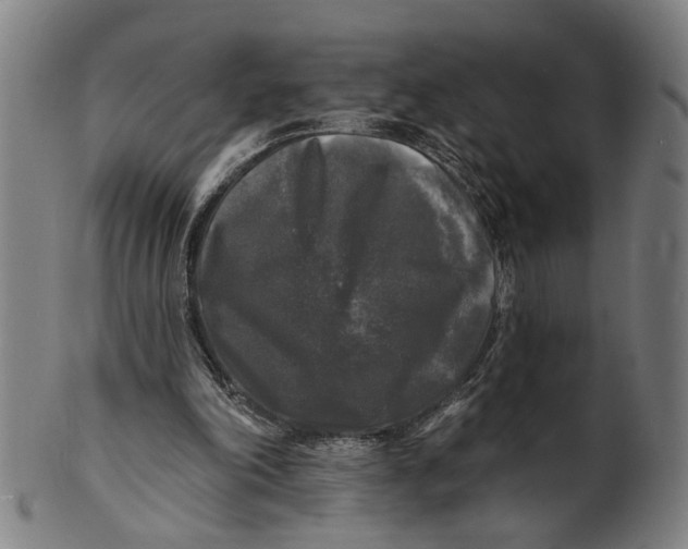 X0000100840198200807111159