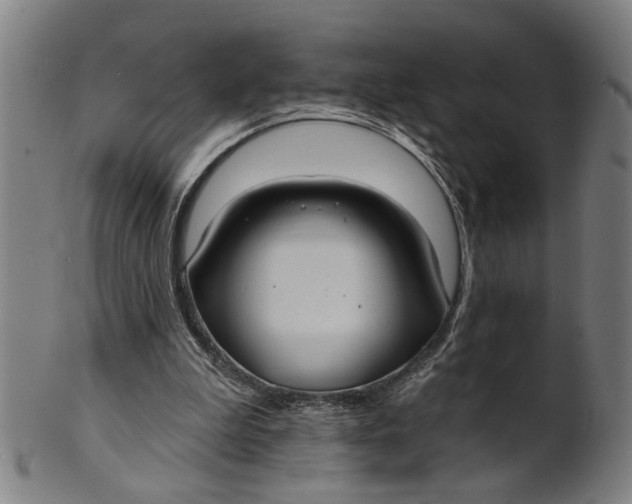 X0000100840199200807111159