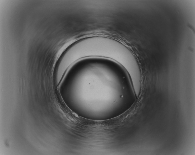 X0000100840200200807111159