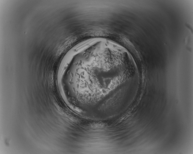 X0000100840202200807111159