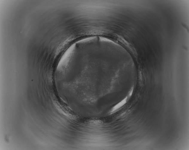 X0000100840203200807111159