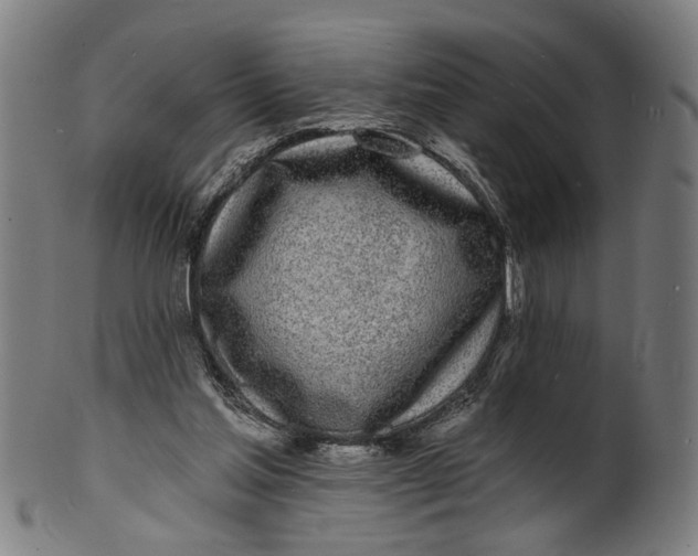 X0000100840205200807111159