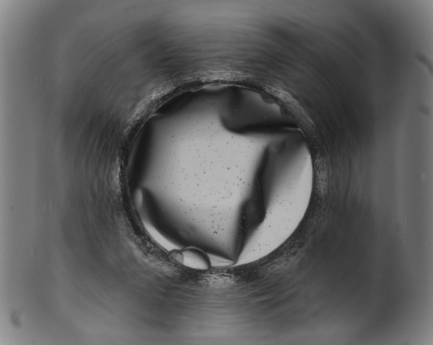 X0000100840207200807111159