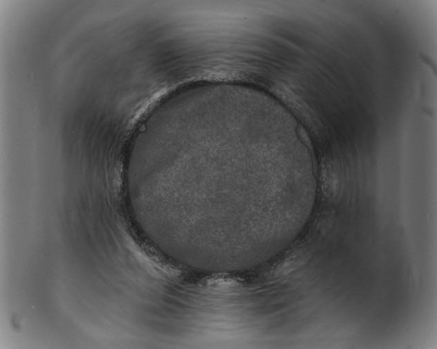 X0000100840208200807111159