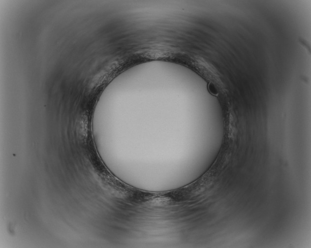 X0000100840210200807111159