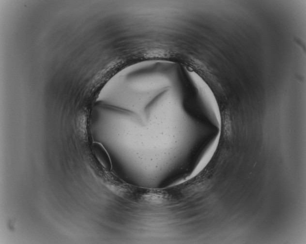 X0000100840211200807111159