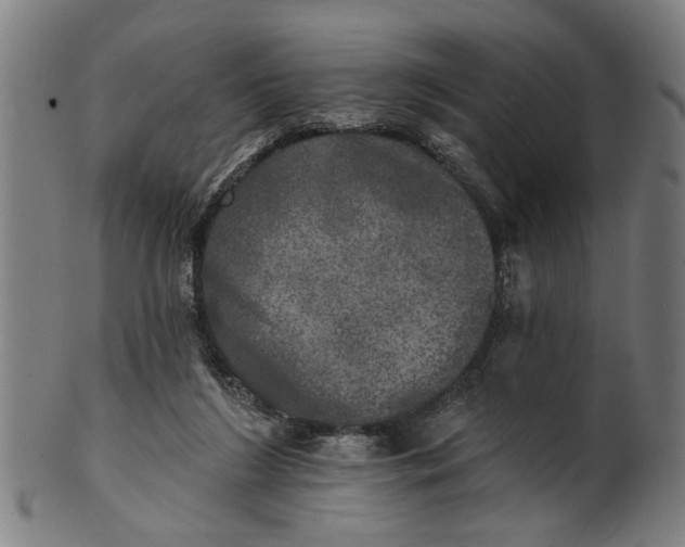 X0000100840212200807111159