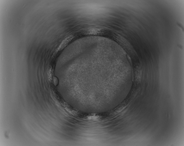 X0000100840216200807111159