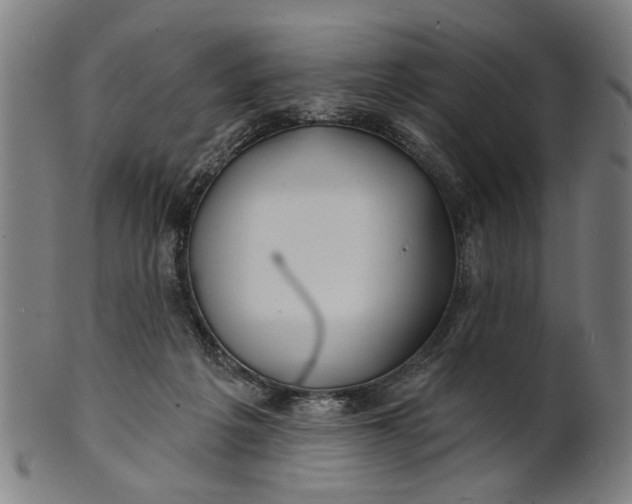 X0000100840217200807111159