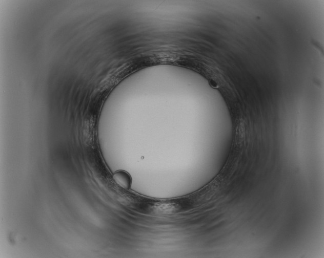 X0000100840218200807111159