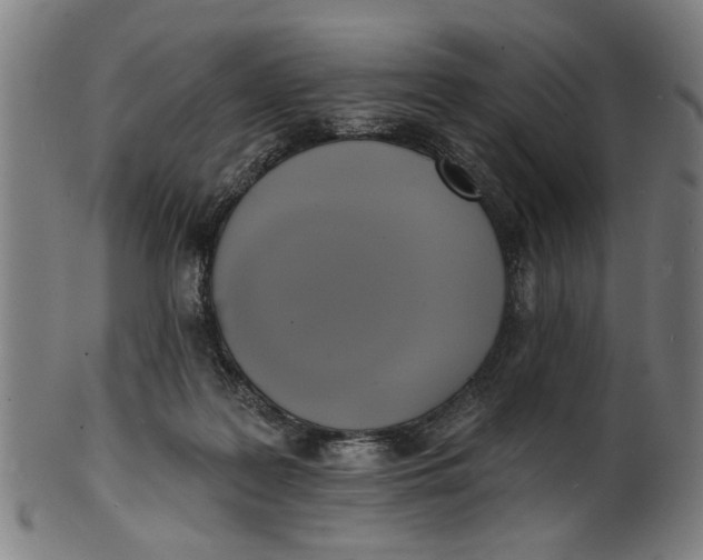 X0000100840219200807111159