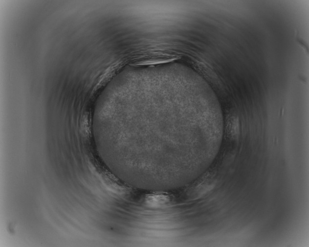 X0000100840220200807111159