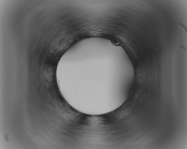 X0000100840221200807111159