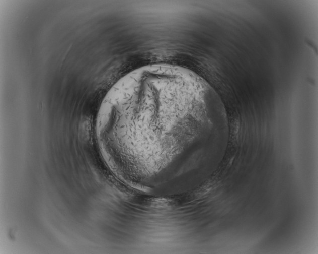 X0000100840222200807111159