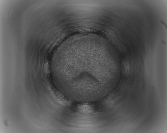 X0000100840224200807111159