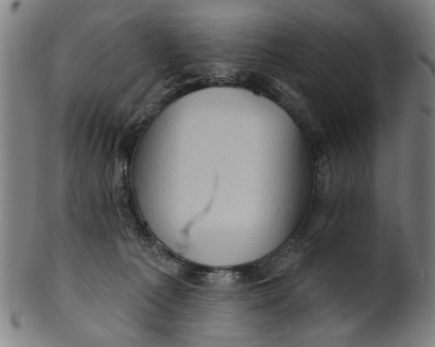 X0000100840225200807111159