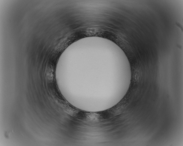 X0000100840226200807111159