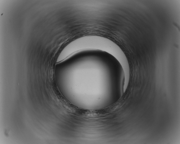 X0000100840228200807111159