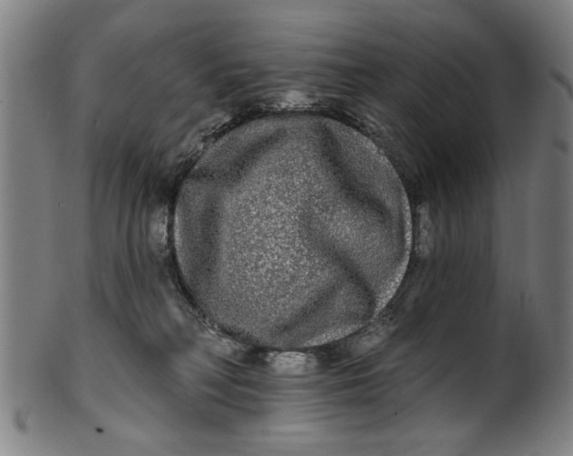 X0000100840230200807111159