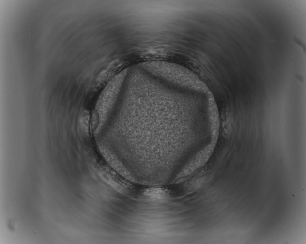 X0000100840231200807111159