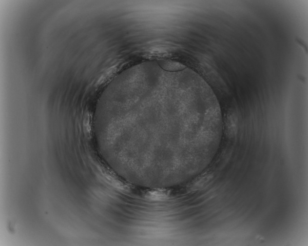 X0000100840232200807111159