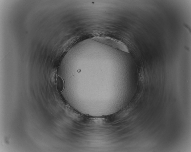 X0000100840233200807111159