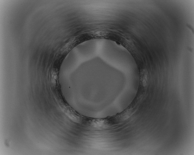 X0000100840235200807111159