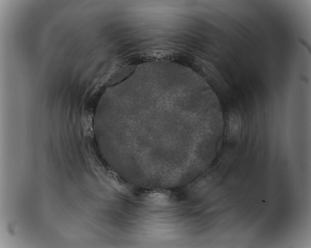 X0000100840236200807111159