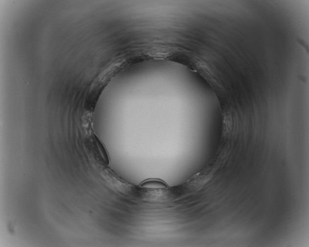 X0000100840237200807111159