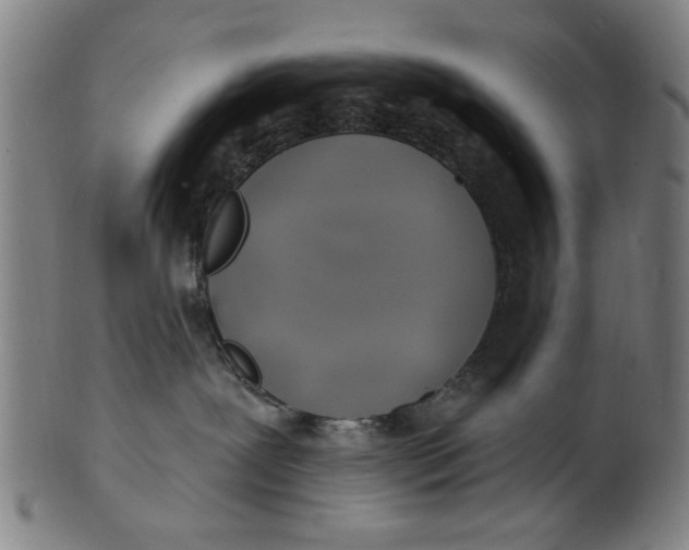 X0000100840239200807111159