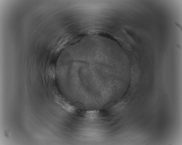 X0000100840240200807111159