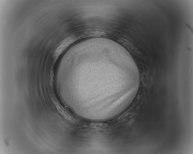 X0000100840242200807111158