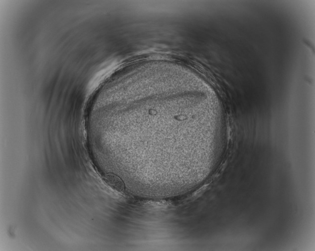 X0000100840245200807111158