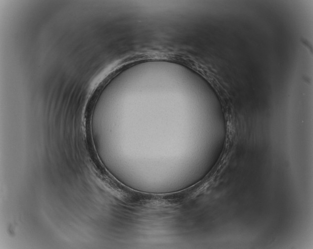 X0000100840246200807111158