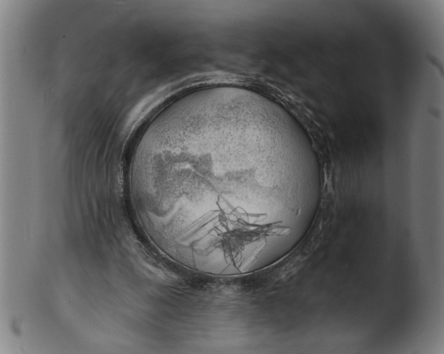 X0000100840247200807111158