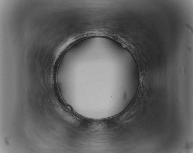 X0000100840248200807111158