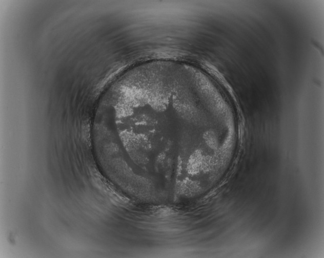 X0000100840249200807111158