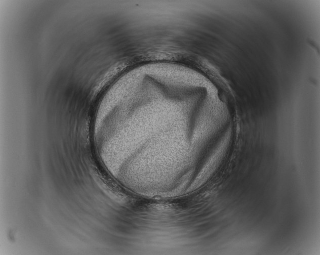 X0000100840250200807111158