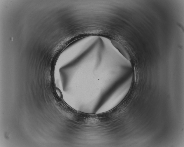 X0000100840252200807111158