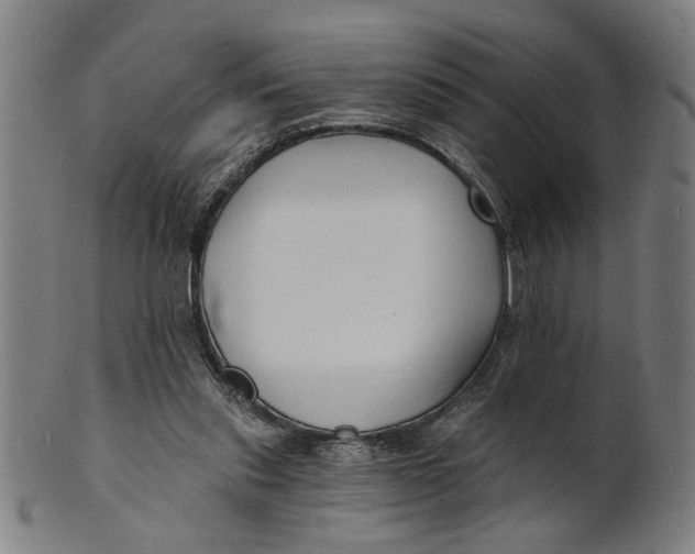 X0000100840253200807111158