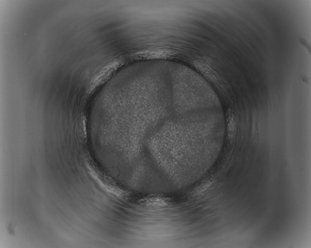 X0000100840254200807111158