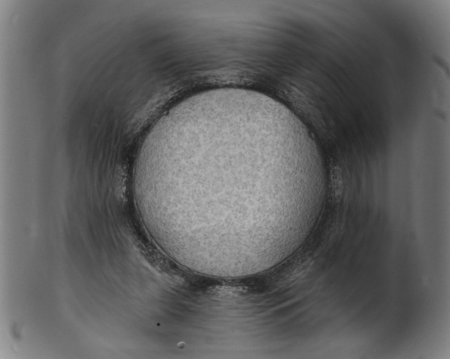 X0000100840255200807111158