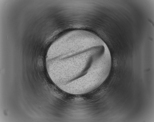 X0000100840256200807111158