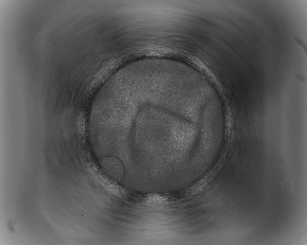 X0000100840257200807111158